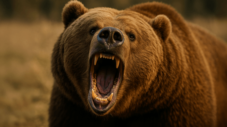 Record Stablecoin Liquidity Fuels Bitcoin’s Exit From Bearish Territory