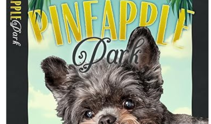 Pineapple Park By Amy Vansant