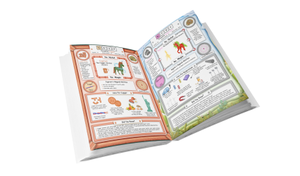 Discover Unicorns in the Alphabetical Periodic Table Book