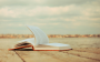 Seeking light but not fluffy summer reads for a good escape – Modern Mrs Darcy