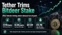 Tether Trims Bitdeer Stake After AI Push Lifts Bitcoin Mining Stock