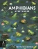 AMPHIBIANS EVERYWHERE | Kirkus Reviews