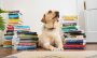 15 novels featuring dogs in honor of International Dog Day – Modern Mrs Darcy