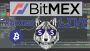 $BTC live Bitcoin trading on Bitmex. Road to 1BTC