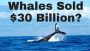 Early Bitcoin Whales Sold $30 BILLION to Speculators?