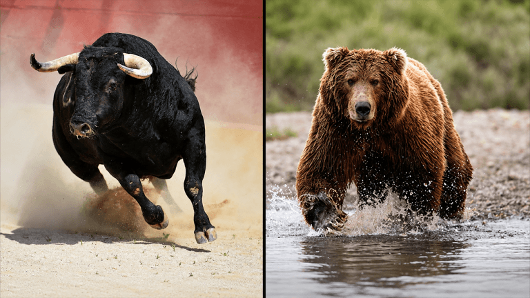 Bull and bear side-by-side