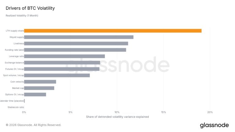 glassnode bitcoin volatility