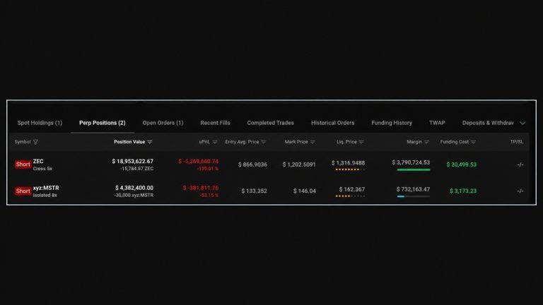 Trader's Strategy and ZCash positions.