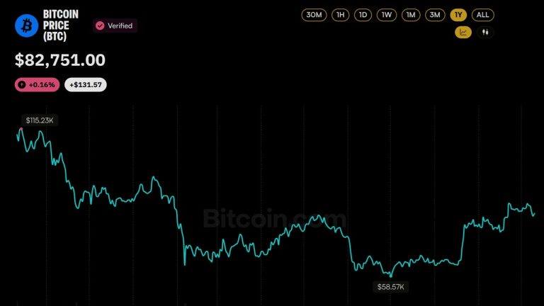 Bitcoin price over the past year.