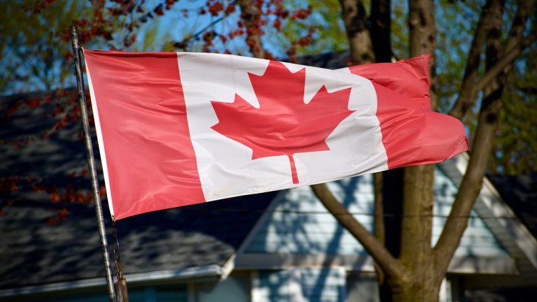 Image of a Canadian flag with a forest in the background.