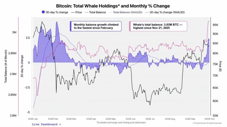 BTC whale data