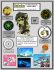 The Mystery of Element 104